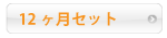 12ヶ月セットお申し込み