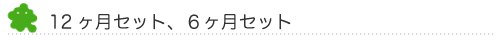 12ヶ月セット、6ヶ月セット　アメブロ　ペタボタン＋ランキングボタン