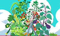 作品NO.lmg013　夏野菜を収穫する女の子のイラスト